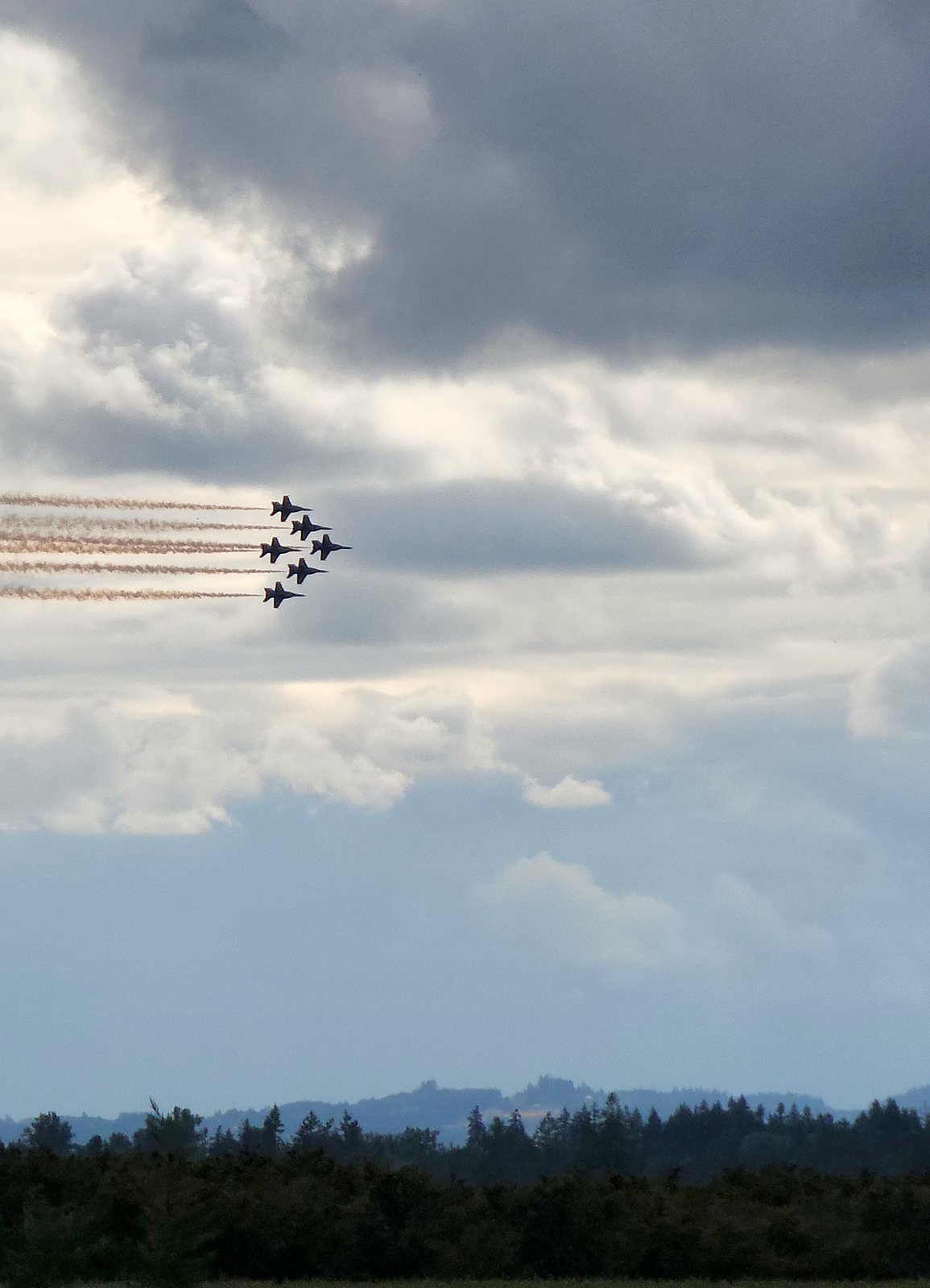 Six jets flying in formation above the treeline